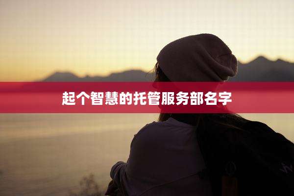 起个智慧的托管服务部名字