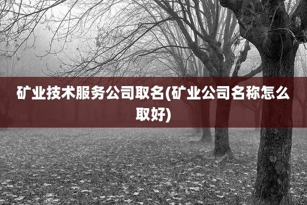 矿业技术服务公司取名(矿业公司名称怎么取好)