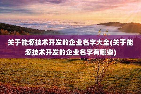 关于能源技术开发的企业名字大全(关于能源技术开发的企业名字有哪些)