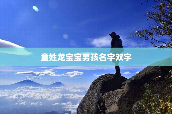 童姓龙宝宝男孩名字双字