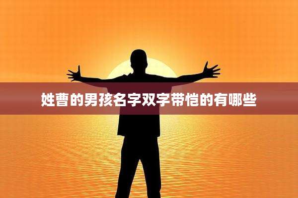 姓曹的男孩名字双字带恺的有哪些