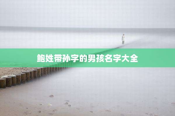 鲍姓带孙字的男孩名字大全