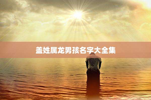 盖姓属龙男孩名字大全集