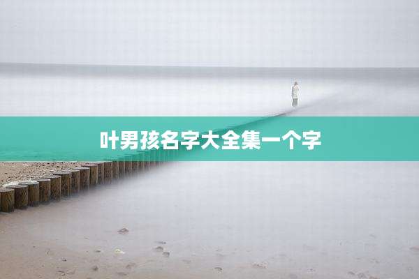 叶男孩名字大全集一个字