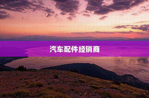 汽车配件经销商