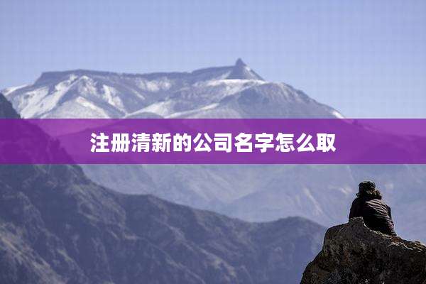 注册清新的公司名字怎么取