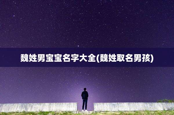 魏姓男宝宝名字大全(魏姓取名男孩)