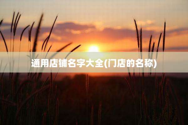 通用店铺名字大全(门店的名称)