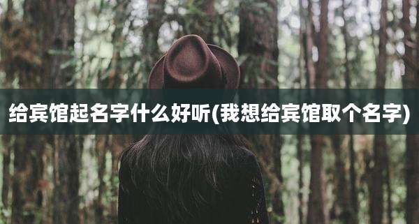 给宾馆起名字什么好听(我想给宾馆取个名字)