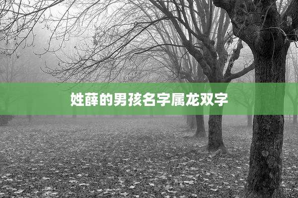 姓薛的男孩名字属龙双字
