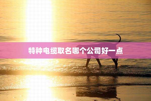 特种电缆取名哪个公司好一点