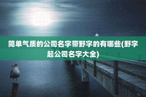 简单气质的公司名字带野字的有哪些(野字起公司名字大全)