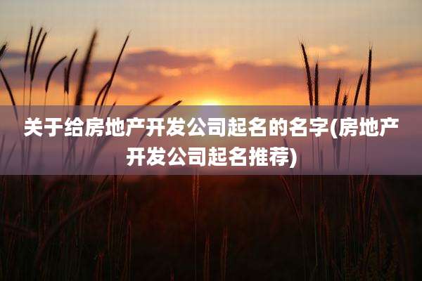 关于给房地产开发公司起名的名字(房地产开发公司起名推荐)