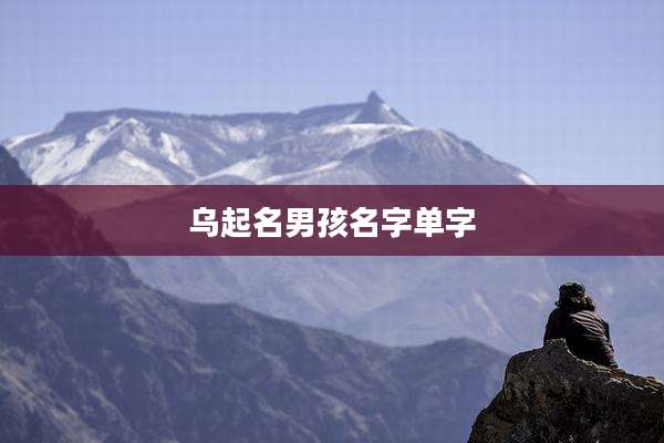乌起名男孩名字单字