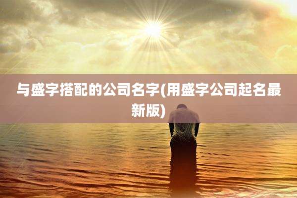 与盛字搭配的公司名字(用盛字公司起名最新版)