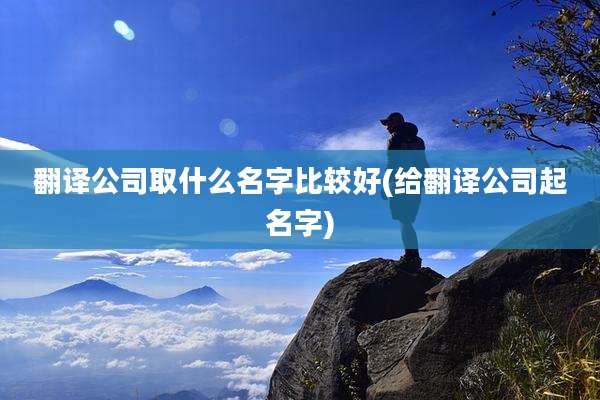 翻译公司取什么名字比较好(给翻译公司起名字)
