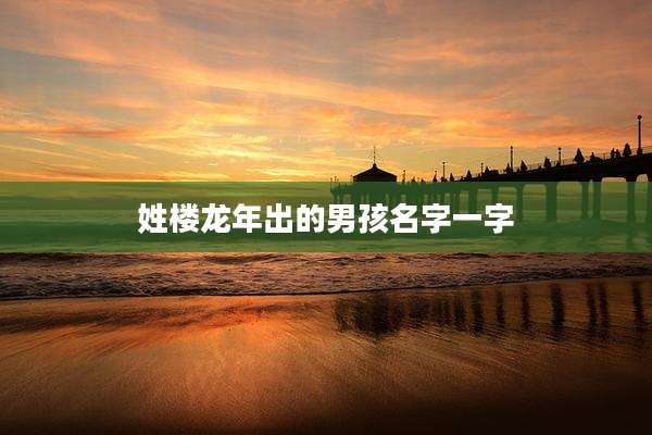 姓楼龙年出的男孩名字一字