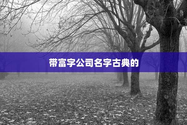 带富字公司名字古典的