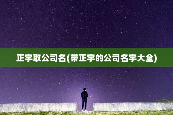 正字取公司名(带正字的公司名字大全)