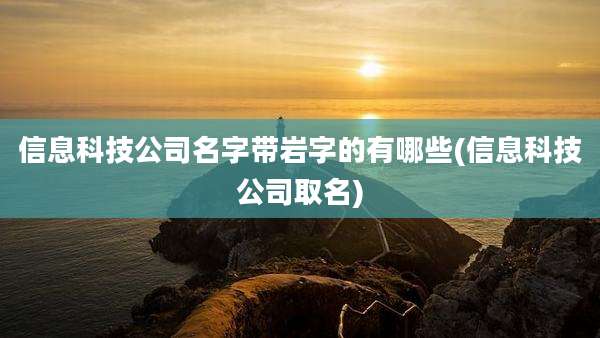 信息科技公司名字带岩字的有哪些(信息科技公司取名)