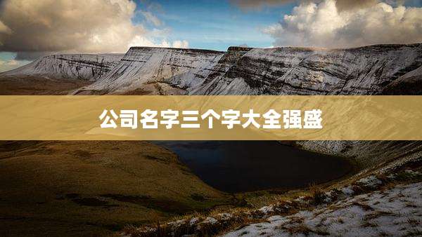 公司名字三个字大全强盛
