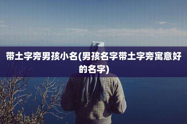带土字旁男孩小名(男孩名字带土字旁寓意好的名字)