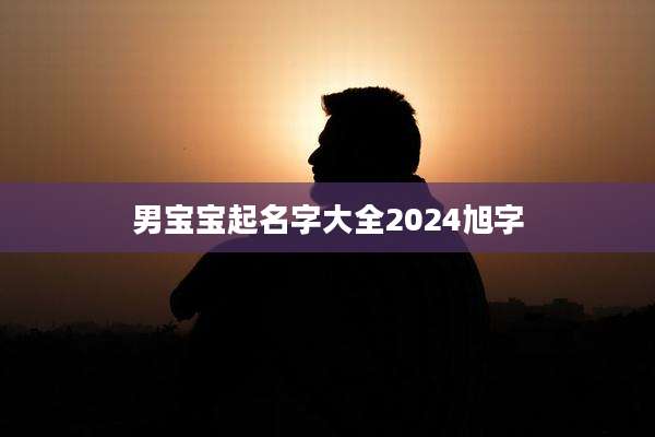男宝宝起名字大全2024旭字