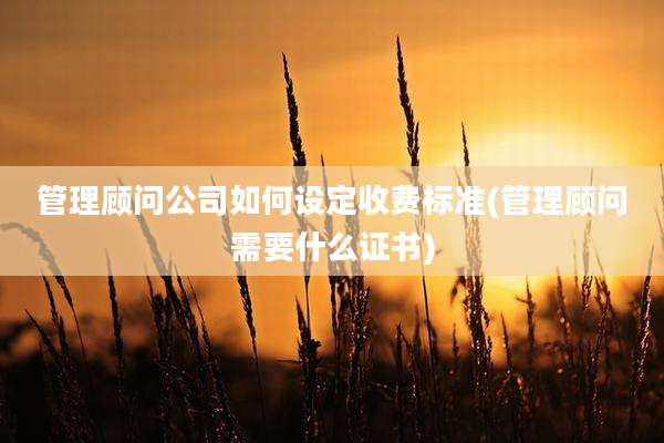 管理顾问公司如何设定收费标准(管理顾问需要什么证书)