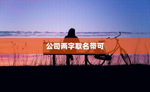 公司两字取名带可