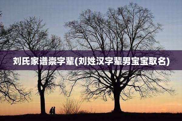 刘氏家谱崇字辈(刘姓汉字辈男宝宝取名)