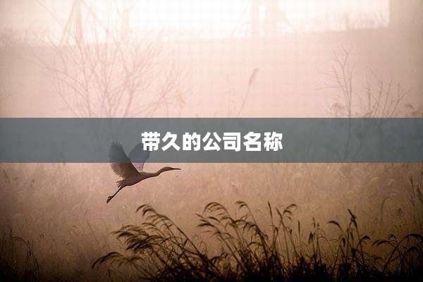 带久的公司名称