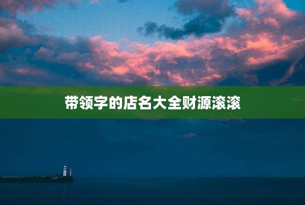 带领字的店名大全财源滚滚