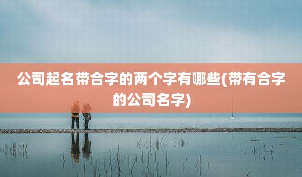 公司起名带合字的两个字有哪些(带有合字的公司名字)