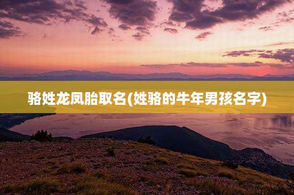 骆姓龙凤胎取名(姓骆的牛年男孩名字)