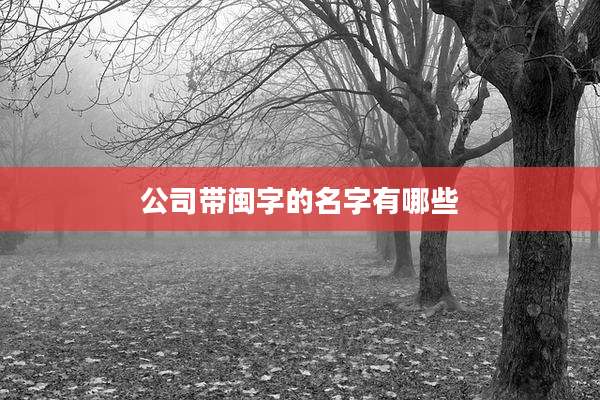 公司带闽字的名字有哪些