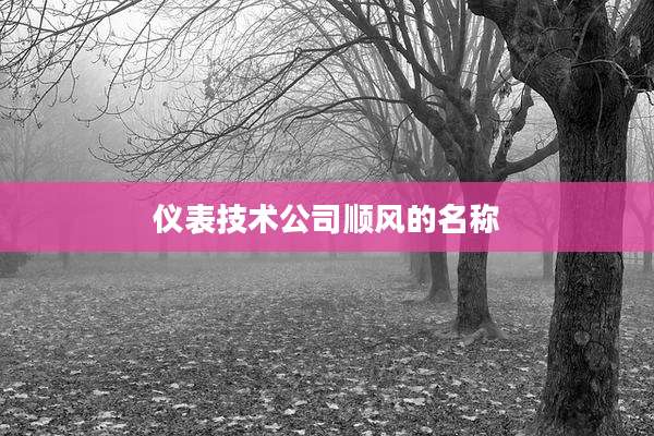 仪表技术公司顺风的名称