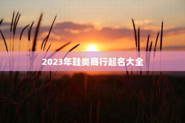 2023年鞋类商行起名大全