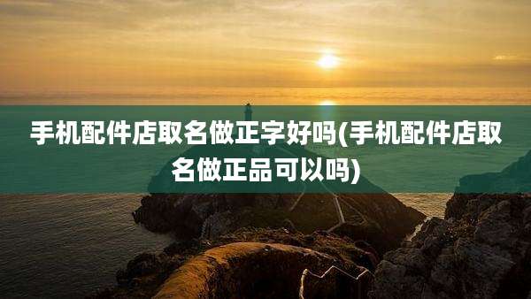 手机配件店取名做正字好吗(手机配件店取名做正品可以吗)