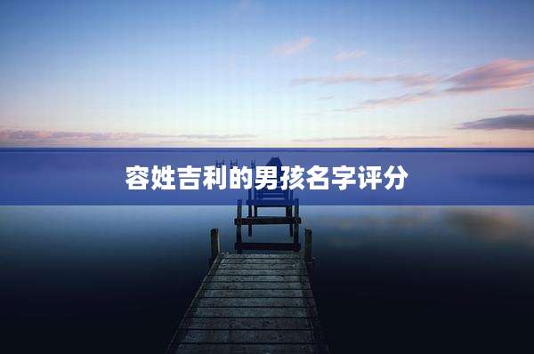 容姓吉利的男孩名字评分