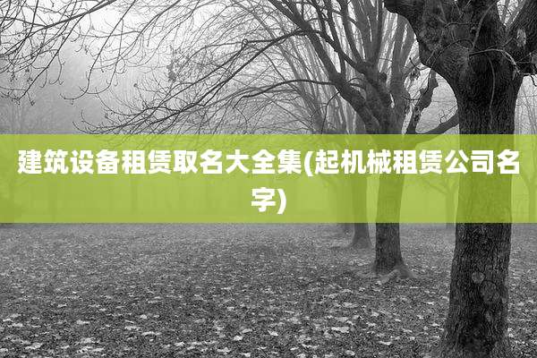 建筑设备租赁取名大全集(起机械租赁公司名字)