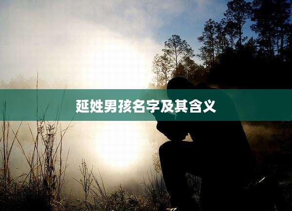 延姓男孩名字及其含义