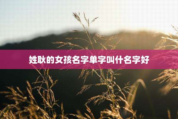 姓耿的女孩名字单字叫什名字好