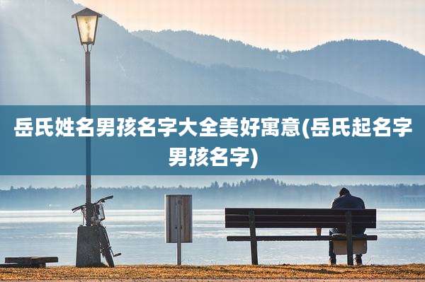 岳氏姓名男孩名字大全美好寓意(岳氏起名字男孩名字)