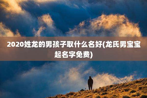 2020姓龙的男孩子取什么名好(龙氏男宝宝起名字免费)