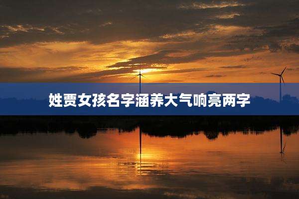 姓贾女孩名字涵养大气响亮两字