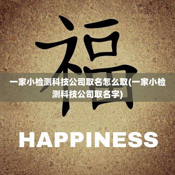 一家小检测科技公司取名怎么取(一家小检测科技公司取名字)