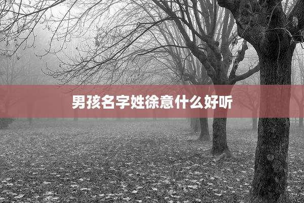 男孩名字姓徐意什么好听
