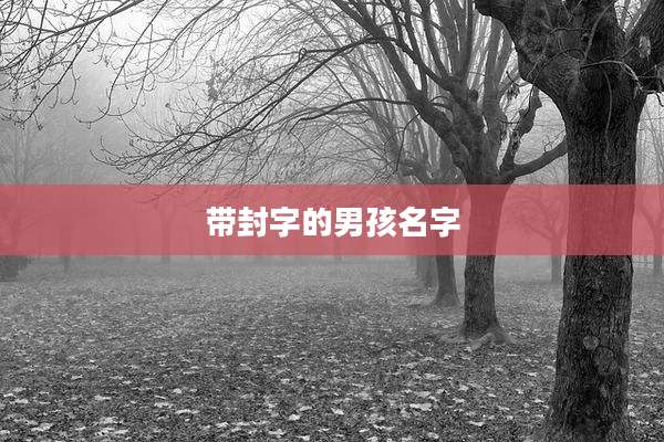 带封字的男孩名字
