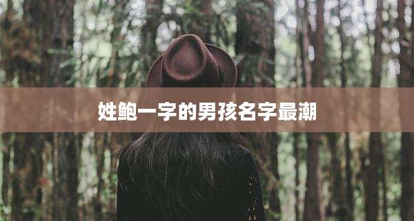 姓鲍一字的男孩名字最潮