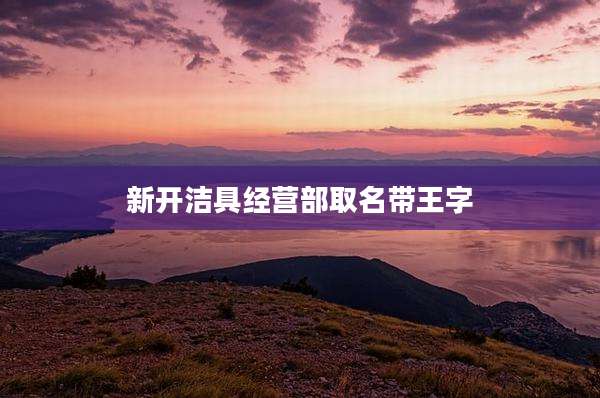 新开洁具经营部取名带王字
